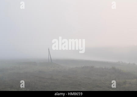 Ukraine, Dnepropetrovsk Region, Novomoskovsk District, Strommasten im nebligen Feld stehen Stockfoto