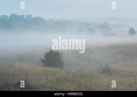 Ukraine, Dnepropetrovsk Region, Novomoskovsk District, Nebel über Wiese Stockfoto