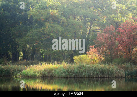 Ukraine, Dnepropetrovsk Region, Novomoskovsk District, gedeihend See Stockfoto