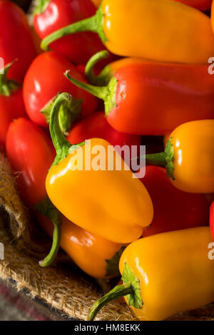 Rohe Bio Mini süße Paprika essfertig Stockfoto