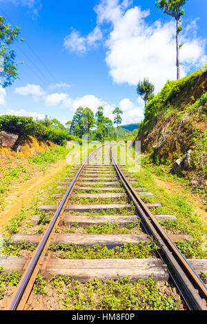 Sri Lanka Railways Gleise verlängern zum Fluchtpunkt läuft durch Teeplantagen im Hügelland an einem blauen Himmel Hapu Stockfoto