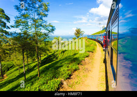 Tee-Plantage Ansicht und ordentlich grüner Teepflanzen gesehen von Seite Außenseite der Passagier Zug geschwungene voraus im Hochland von Sri Lanka Stockfoto