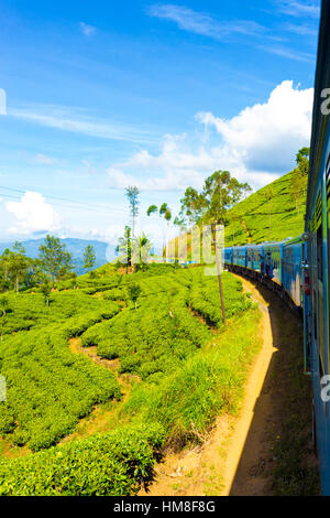 Tee-Plantage Ansicht und ordentlich grüner Teepflanzen gesehen von Seite Außenseite der Passagier Zug geschwungene voraus im Hügelland, Sri Lank Stockfoto