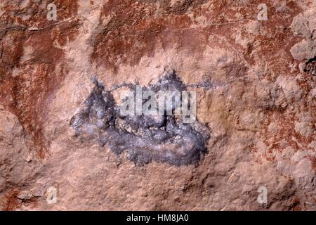 Kristalline Einschlusskörperchen in einen Felsen, Itanos, Kreta, Griechenland. Stockfoto