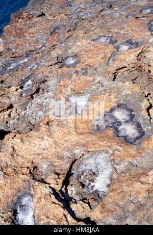 Kristalline Einschlusskörperchen in einen Felsen, Itanos, Kreta, Griechenland. Stockfoto