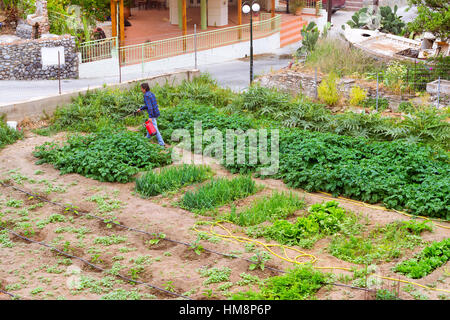 Bali, Griechenland - 30. April 2016: Sprenger Mann Gartenbewässerung mit Kartoffeln, Zwiebeln und anderes Gemüse aus tragbaren Farm. Gartenarbeit im eigenen Haushalt Stockfoto