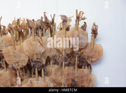 Getrockneten Tintenfisch auf weißem Hintergrund Stockfoto