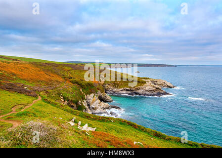 Piskies Cove in Porth-de-Besserwisser oder Prussia Cove, Cornwall. Diesem Bereich wurde durch die Schmuggler John Carter, der so genannte "King Of Prussia" berühmt gemacht. Stockfoto