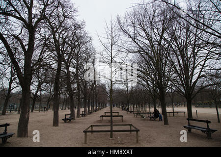 Le Jardin du Luxemburg 6. Arrondissement von Paris im winter Stockfoto