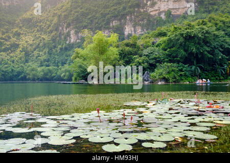 Boote und Seerosen auf einem Fluss in die Karst-Landschaften von Tam Coc und Trang ein in den Red River Gebiet, Vietnam, Indochina Stockfoto