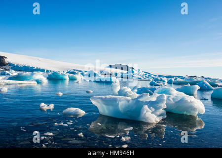 Schöne kleine Eisberge, Hope Bay, Antarktis, Polarregionen Stockfoto