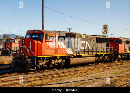 Canadian National Railway Company Diesel Friegt Zug auf einem Abstellgleis in Vancouver, British Columbia, Kanada. Stockfoto