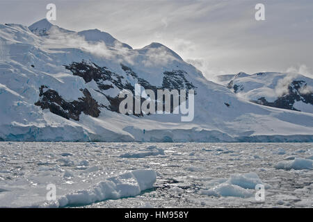 Antarktis im Dezember mit den Eisbergen und Pinguine Stockfoto