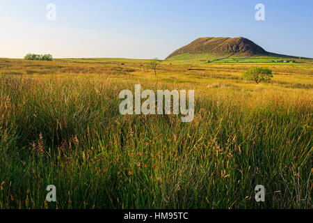 Slemish Mountain, County Antrim, Ulster, Nordirland, Vereinigtes Königreich Stockfoto