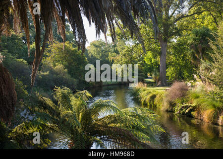 Blick entlang der Palmen gesäumten Avon River in Christchurch Botanic Gardens, Christchurch, Canterbury, Südinsel, Neuseeland Stockfoto