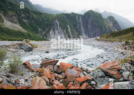 Blick über den Fox River aus dem Gletschertal Track, Fox Gletscher, Westland Tai Poutini Nationalpark, West Coast, Neuseeland Stockfoto