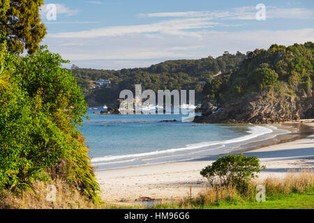 Blick über Butterfield Strand, Halfmoon Bay, Oban, Stewart Island, Southland, Südinsel, Neuseeland, Pazifik Stockfoto