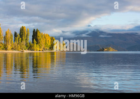 Blick über den ruhigen See Wanaka, Herbst, Roys Bay, Wanaka, Queenstown-Lakes district, Otago, Südinsel, Neuseeland, Pazifik Stockfoto