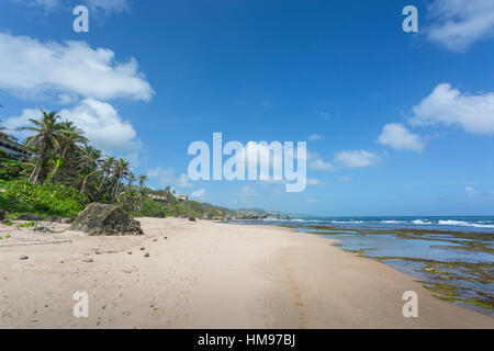 Bathsheba Beach, Bathseba, St. Joseph, Barbados, West Indies, Karibik, Mittelamerika Stockfoto