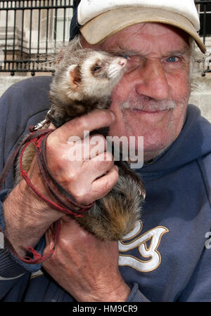 Älterer Mann Betrieb Haustier Frettchen, London, UK Stockfoto