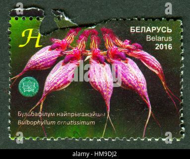 GOMEL, Weißrussland, 1. Februar 2017, Stempel gedruckt in Belarus zeigt die Blume Bulbophyllum Ornatissimum ca. 2016. Stockfoto