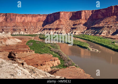 Green River in Fort im Bodenbereich, Blick vom Fort unten Trail, White Rim Road-Bereich, Canyonlands National Park, Utah, USA Stockfoto