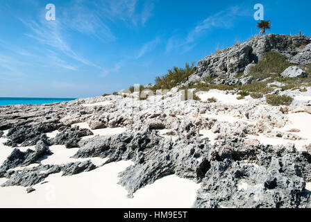 Der Blick auf den felsigen Strand auf unbewohnten Insel in Half Moon Cay (Bahamas). Stockfoto