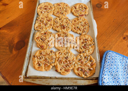 Eine Backform mit frisch gebackene Schokoladenkekse Pecan. USA. Stockfoto
