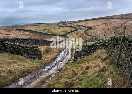 Langber Lane, der alten Pre-Turnpike Autobahn von Skipton Settle und jetzt als ein Fußweg, Yorkshire Dales National Park, UK Stockfoto