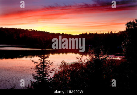 Abend, Brewer See, Algonquin Park im Herbst, Ontario, Kanada Stockfoto