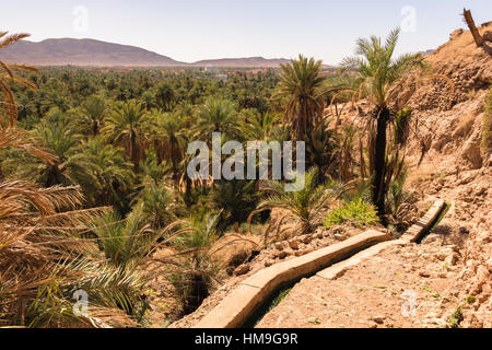 Panoramablick über die Oase von Dattelpalmen, Figuig, Marokko Stockfoto