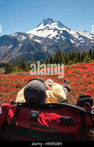 Nickerchen auf seinem Rucksack in Oregon Berg Jefferson Wildnisgebiet Wanderer Stockfoto