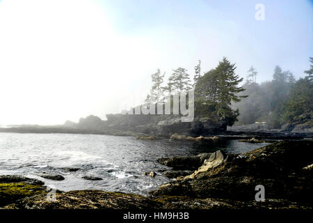 Natürliche Schönheit von Vancouver Island - nebligen Tag im Botanical Beach, Juan de Fuca Provincial Park, Vancouver Island Stockfoto