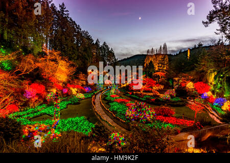 Nationale historische Stätte in Vancouver Island - Weihnachten Beleuchtung in versunkene Garten, The Butchart Gardens versunkenen 4. Stockfoto