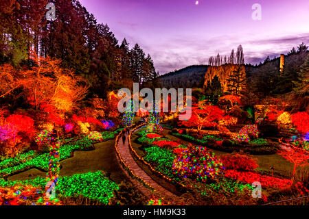 Nationale historische Stätte in Vancouver Island - Weihnachten Beleuchtung in versunkene Garten, The Butchart Gardens versunkenen 3. Stockfoto