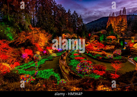 Nationale historische Stätte in Vancouver Island - Weihnachten Beleuchtung in versunkene Garten, The Butchart Gardens versunkenen 2. Stockfoto