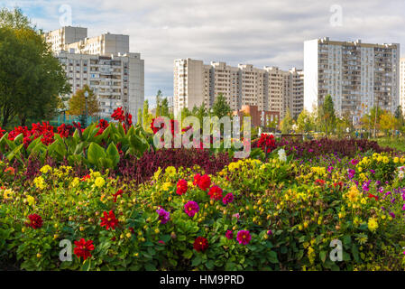 Der Schlafbereich mit Blumen in Moskau, Russland Stockfoto