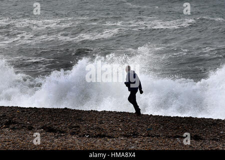 Chesil Cove, Portland, UK. 2. Februar 2017. Großbritannien Wetter. Starker Wind und Flut Vormittag bringen riesige Wellen auf den Strand in der Nähe von Strand Walker. Bildnachweis: JOHN GURD Medien/Alamy Live-Nachrichten Stockfoto