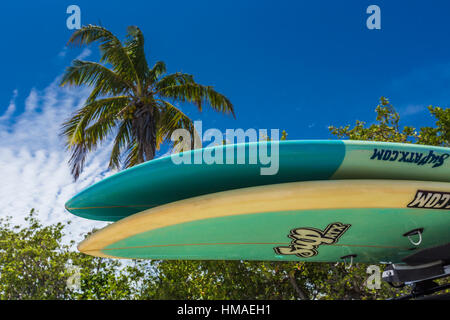 Stand Up Paddleboards auf einen Mietwagen in Bahia Honda State Park, Florida Keys, USA Stockfoto