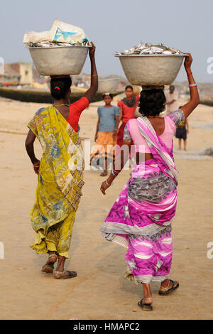 PURI, Indien - Dezember 19: Frau mit vollen Schale Krabben auf dem Kopf an einem Strand in Orissa, Puri im 19. Dezember 2009 Stockfoto