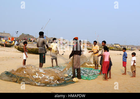 PURI, Indien - Dezember 19: Leeren Fischer von der Ostküste Indiens eine Angeln net Fisch am Strand in Orissa, Puri in 19 Dezember Stockfoto