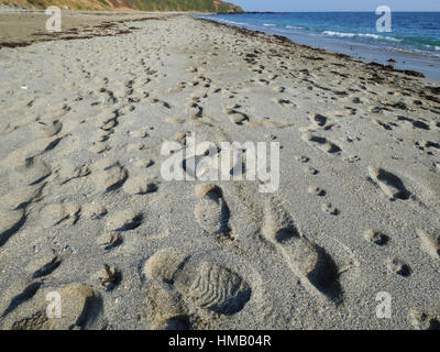 Spuren der Hundebesitzer und ihre Hunde am Strand von Vault, Gorran Haven, Cornwall. Stockfoto