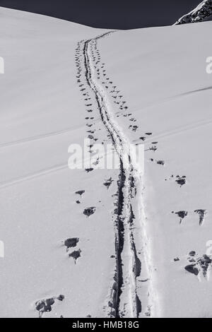 Spuren im Schnee, Ski winterliche Bergwelt, Lechtaler Alpen, Tirol, Österreich Stockfoto