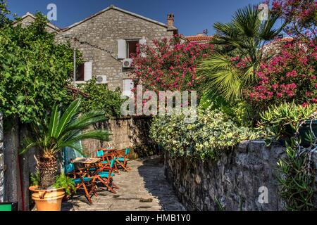 Budva, Montenegro - einer typischen engen Gassen in der Altstadt voller üppiger mediterraner Vegetation Stockfoto