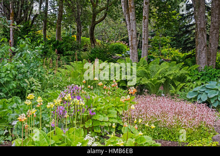 Botanischer Garten Akureyri Island Stockfoto