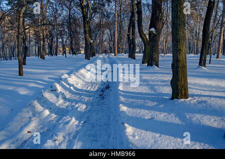 Schaufel vor kurzem Winter Spaziergänge im Park, Sofia, Bulgarien Stockfoto