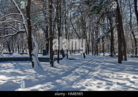 Schaufel vor kurzem Winter Spaziergänge im Park, Sofia, Bulgarien Stockfoto