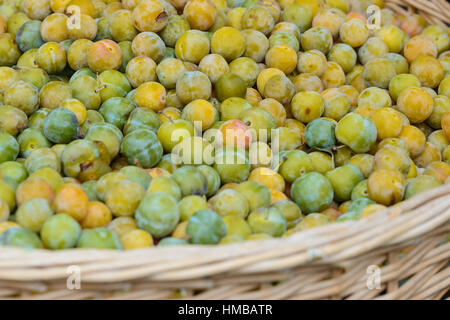 Ein Korb voller Mirabellen-Pflaumen auf einem Marktstand in Saint-Palais-sur-Mer, Charente-Maritime, an der Südwestküste Frankreichs im August. Stockfoto