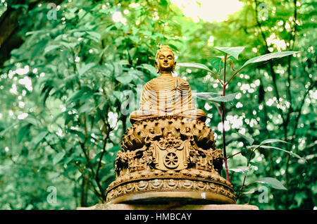 Buddha-Statue im Sonnenuntergang in "Wat-Reiter, Chiang Mai - Thailand Stockfoto