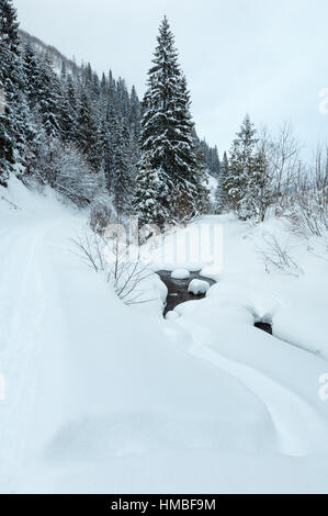 Bach in Schneewehen, verschneite Straße entlang Bank und Tanne Wald im Winter Piste der ukrainischen Karpaten bei bewölktem Wetter. Stockfoto